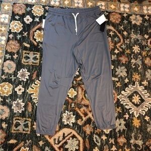 Mono B Grey Joggers from Boutique, NWT